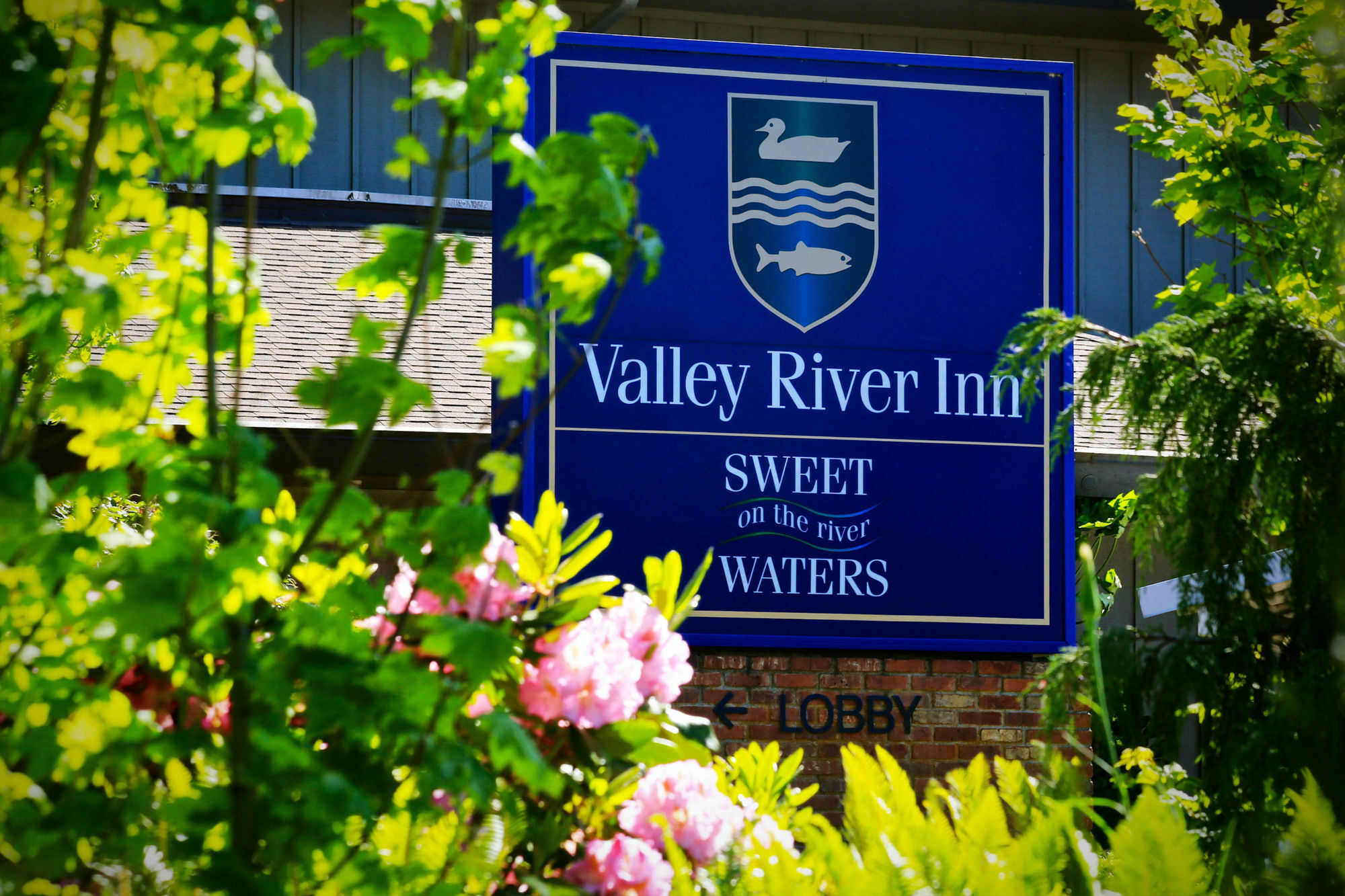 Valley River Inn Юджийн Екстериор снимка